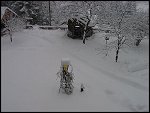 Sat 08 Feb 2003 09:46:50 DSC08569.JPG 