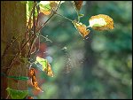 Sun 21 Sep 2003 12:21:22 DSC02067.JPG 