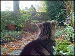 Sat 01 Nov 2003 12:38:34 DSC02376.JPG 