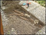 Wed 30 Jul 2003 13:26:58 DSC00184.JPG 
