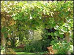 Sat 27 Sep 2003 15:27:24 DSC02103.JPG 