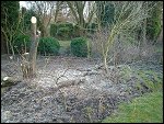 Sat 15 Mar 2003 18:15:40 DSC09406.JPG 