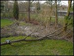 Sat 15 Mar 2003 18:18:42 DSC09414.JPG 