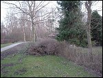 Sun 16 Mar 2003 18:35:50 DSC09417.JPG 
