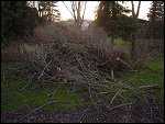 Sun 16 Mar 2003 18:36:58 DSC09421.JPG 