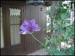 Sat 10 May 2003 19:56:18 DSC09560.JPG 