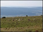 Tue 03 Aug 2004 16:56:04 DSC05451.JPG 