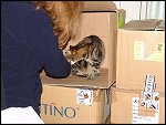Tue 24 Feb 2004 00:13:32 DSC00237.JPG 