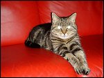 Fri 27 Aug 2004 23:48:12 DSCT0047.JPG 
