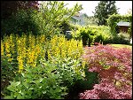 Sat 19 Jun 2004 15:35:00 DSC04527.JPG 