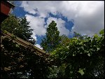 Sat 19 Jun 2004 15:41:22 DSC04544.JPG 