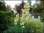 Wed 28 Jul 2004 20:52:38 DSC05303.JPG 