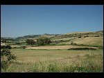 Fri 03 Jun 2005 10:45:00 DSC_2221.JPG 