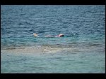 Sat 04 Jun 2005 14:56:00 DSC_2519.JPG 
