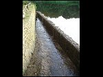 Sat 04 Jun 2005 18:52:04 CIMG0110.JPG 