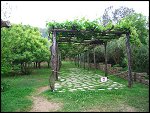 Sat 04 Jun 2005 18:54:04 CIMG0112.JPG 