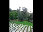 Sat 04 Jun 2005 18:57:34 CIMG0114.JPG 