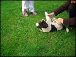 Sat 04 Jun 2005 19:11:26 CIMG0127.JPG 