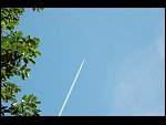 Tue 26 Jul 2005 15:30:40 DSC_4175.JPG 