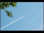 Tue 26 Jul 2005 15:31:00 DSC_4176.JPG 
