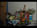 Thu 06 Oct 2005 17:21:10 DSC_7597.JPG 