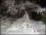 Wed 02 Mar 2005 22:11:44 DSC08108.JPG 