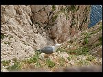 Sat 22 Apr 2006 18:29:08 D20_3611.JPG 