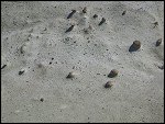 Sat 22 Apr 2006 14:38:28 CIMG0071.JPG 