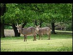 Sat 20 May 2006 11:02:10 D20_4763.JPG 