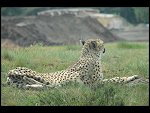 Sat 20 May 2006 11:15:32 D20_4773.JPG 