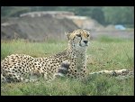Sat 20 May 2006 11:16:56 D20_4776.JPG 