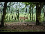Sat 20 May 2006 11:25:14 D20_4785.JPG 