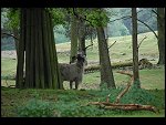 Sat 20 May 2006 11:35:24 D20_4800.JPG 