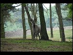 Sat 20 May 2006 11:36:08 D20_4803.JPG 