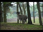 Sat 20 May 2006 11:36:18 D20_4804.JPG 