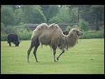 Sat 20 May 2006 11:39:28 D20_4807.JPG 
