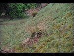 Sat 20 May 2006 12:47:34 D20_4843.JPG 