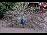 Sat 20 May 2006 13:12:56 D20_4868.JPG 
