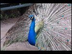 Sat 20 May 2006 13:13:04 D20_4870.JPG 