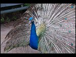 Sat 20 May 2006 13:13:12 D20_4871.JPG 