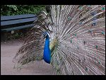 Sat 20 May 2006 13:13:18 D20_4872.JPG 