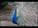 Sat 20 May 2006 13:13:52 D20_4873.JPG 