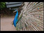 Sat 20 May 2006 13:13:58 D20_4874.JPG 