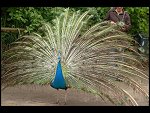 Sat 20 May 2006 13:14:32 D20_4879.JPG 