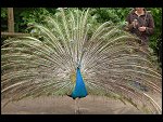 Sat 20 May 2006 13:14:38 D20_4880.JPG 