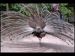 Sat 20 May 2006 13:14:54 D20_4882.JPG 