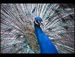 Sat 20 May 2006 13:15:24 D20_4887.JPG 