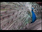 Sat 20 May 2006 13:16:06 D20_4892.JPG 