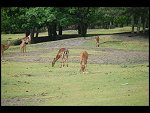 Sat 20 May 2006 13:19:40 D20_4898.JPG 