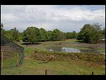 Sat 20 May 2006 13:36:08 D20_4917.JPG 